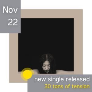Read more about the article new single released – 30 tons of tension